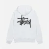 BASIC STÜSSY HOODIE