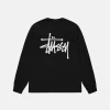 BASIC STÜSSY LS TEE PIGMENT DYED