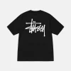 BASIC STÜSSY TEE PIGMENT DYED